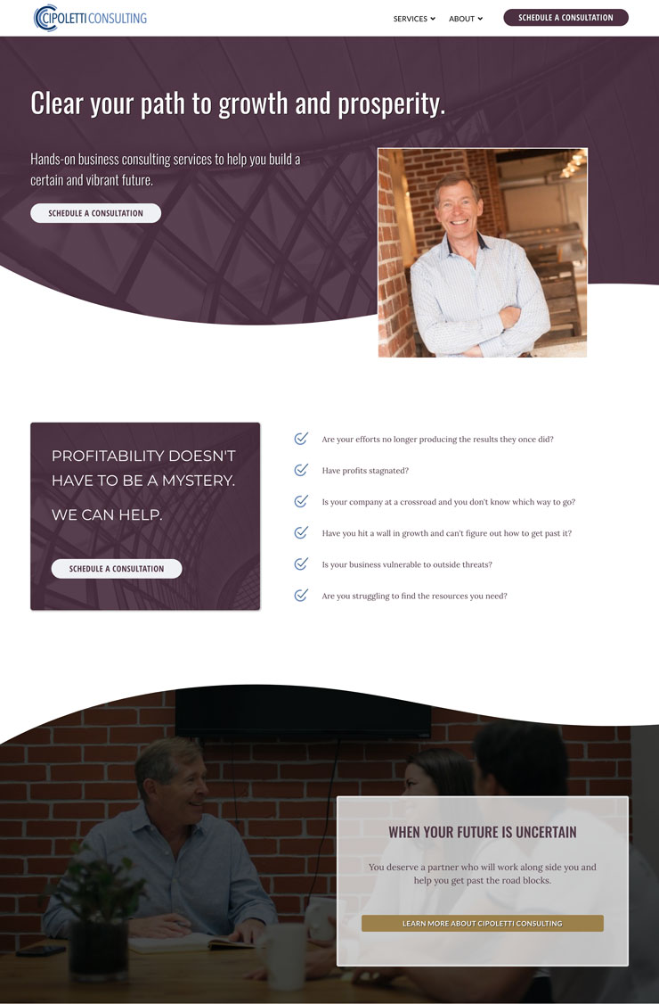 Cipoletti Consulting website home page example